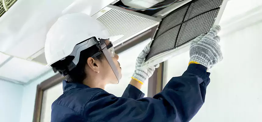 Our Mold & Mildew Removal from Air Ducts Services in Danville, VA