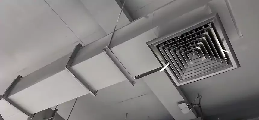 Our Pest Removal From Ducts Services in Danville, VA