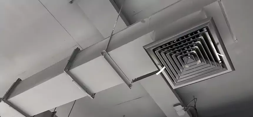 Our Rodent Droppings In Vents Services in Danville, VA