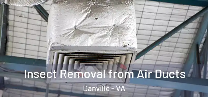 Insect Removal from Air Ducts Danville - VA
