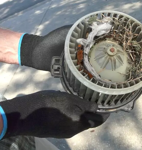 About Air Duct Mice Removal in Danville, VA