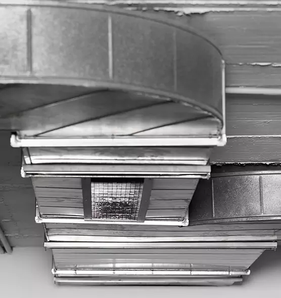 Professional Air Duct Pest Removal in Danville, VA