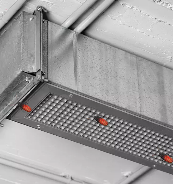 Affordable Insect Removal from Air Ducts in Danville, VA