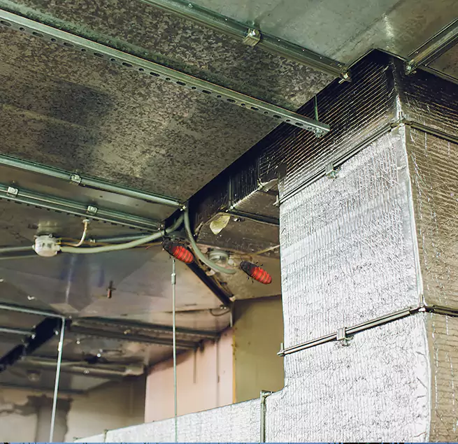 Why Homeowners & Businesses Trust Us Danville, VA?